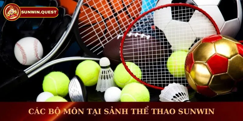 Giới thiệu đôi nét sảnh thể thao Sunwin